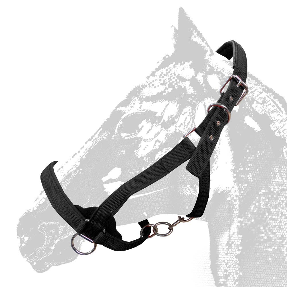 CABEÇÃO EXTRA FORTE 290