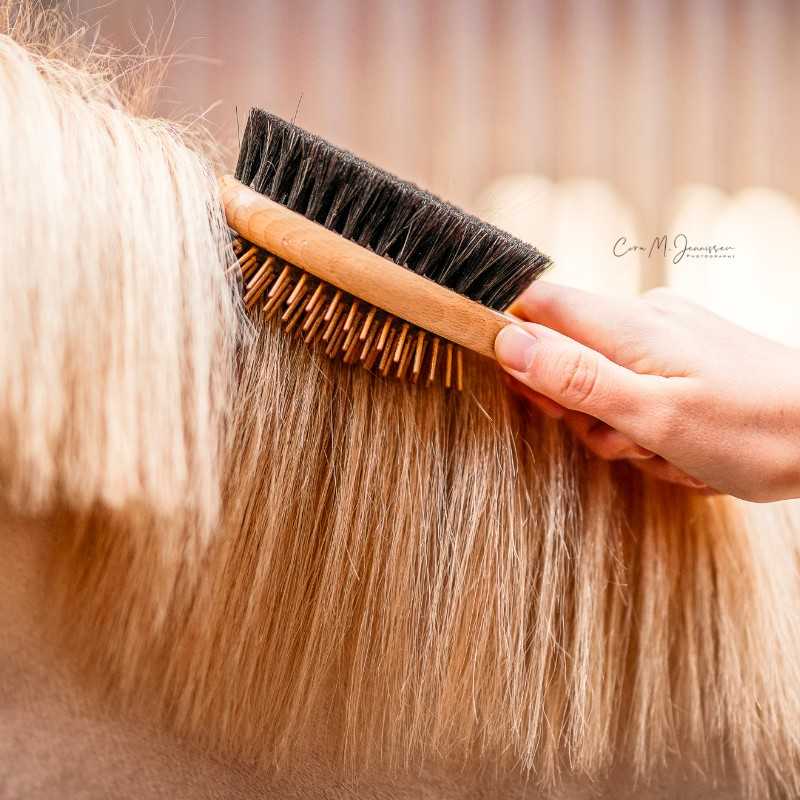 Escova rabada e crina B&E KämmLotte