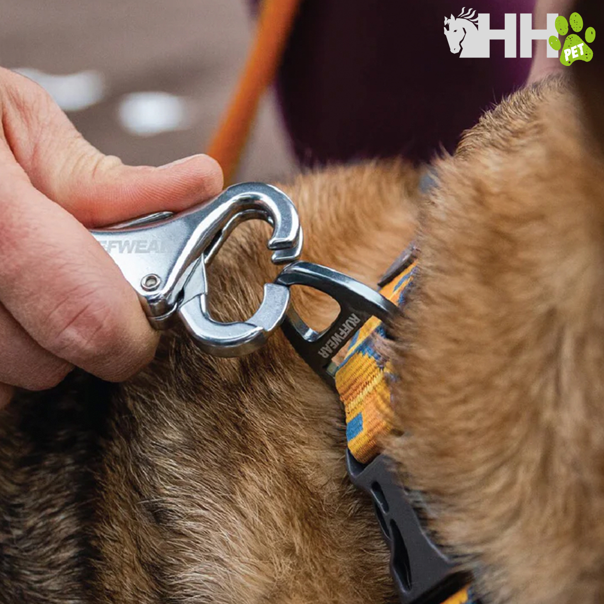 TRELA ELASTICA RUFFWEAR PARA CÃES ROAMER