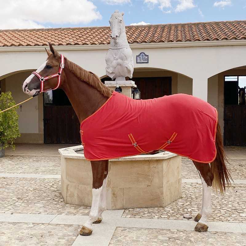 Cavalo com manta vermelha e cabeçada vermelha e branca em ambiente exterior com fonte e estátua de cavalo