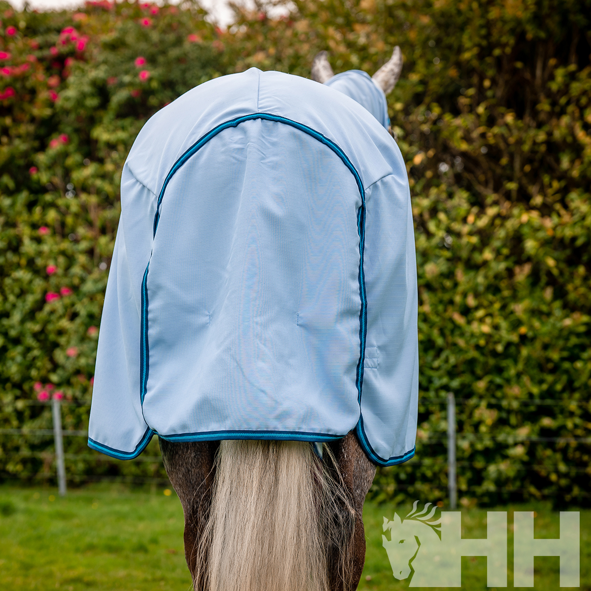 Capa azul clara para cavalo, vista traseira com crina branca
