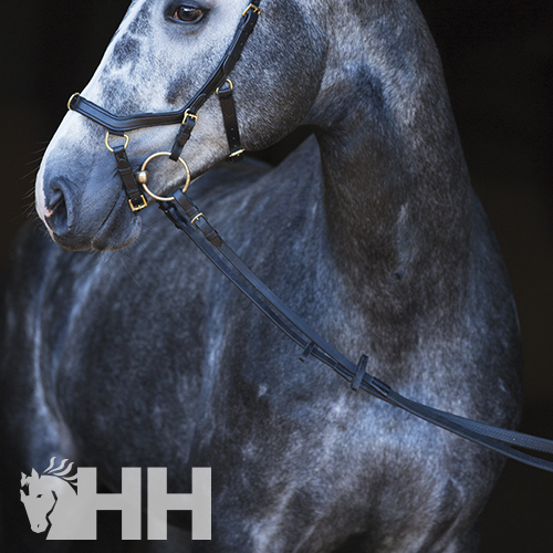 RÉDEAS HORSEWARE MICKLEM MULTIBRIDLE ORIGINAL