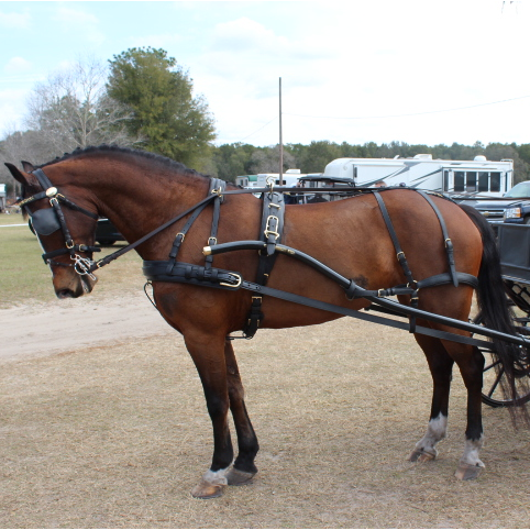 Arreios de Atrelagem EuroTech Classic  IDEAL