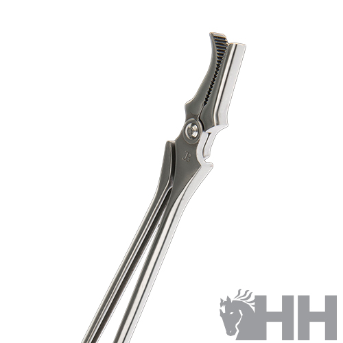 TORQUÊS REMATAR JIM BLURTON BOCA RETA