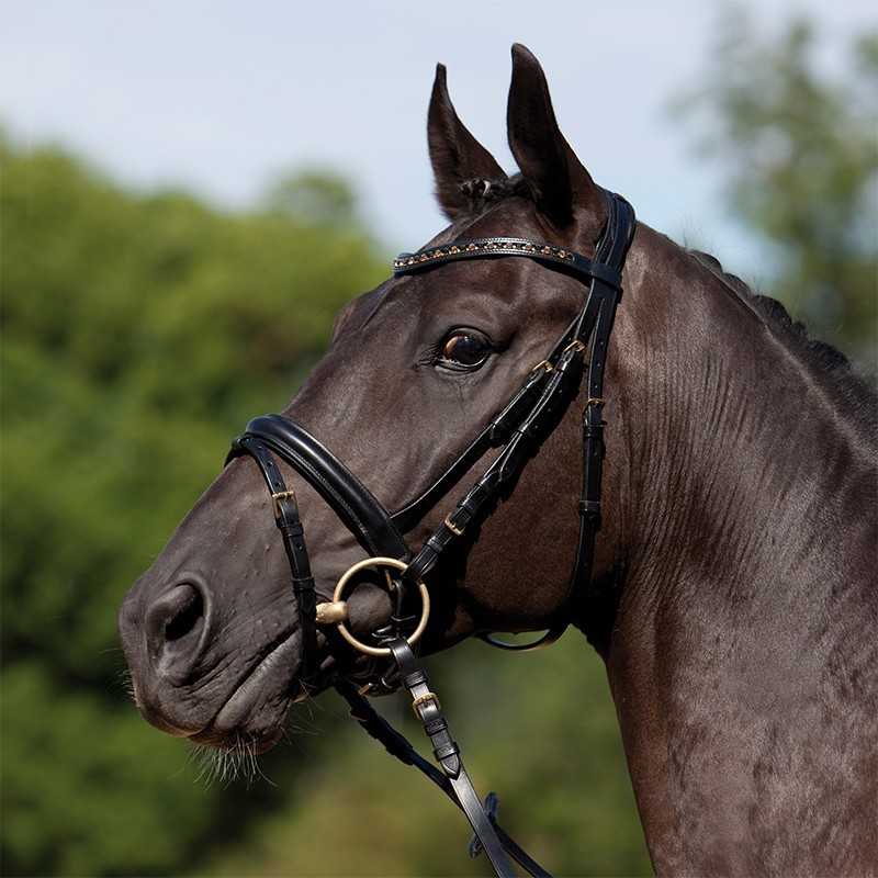 Cabeçada Kieffer para bridão Comfort Verona