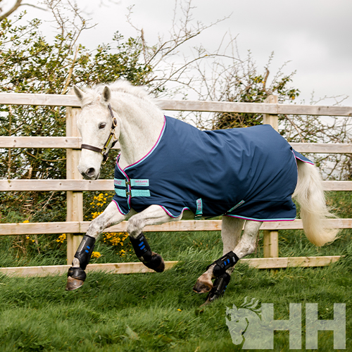 COBREJÃO AMIGO HERO 900 PÓNEI EXTERIOR MEDIUM (200g)