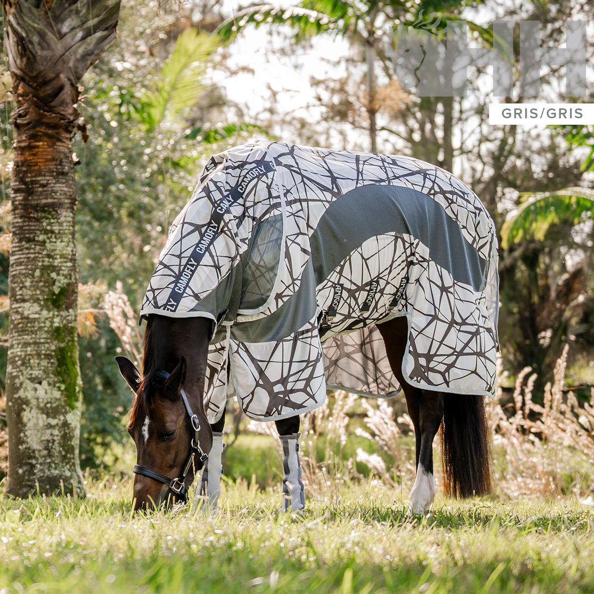 Cavalo com cobertura cinzenta e branca a pastar no campo