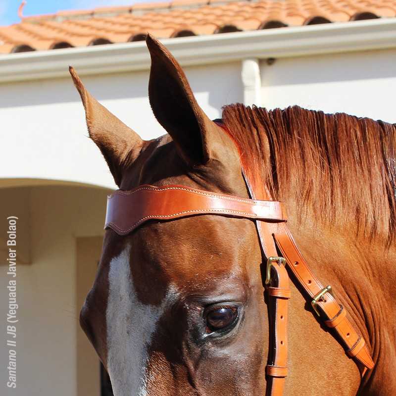 Cabeçada MARJOMAN MODELO PORTUGUÊS DE TRABALHO 1 rédea