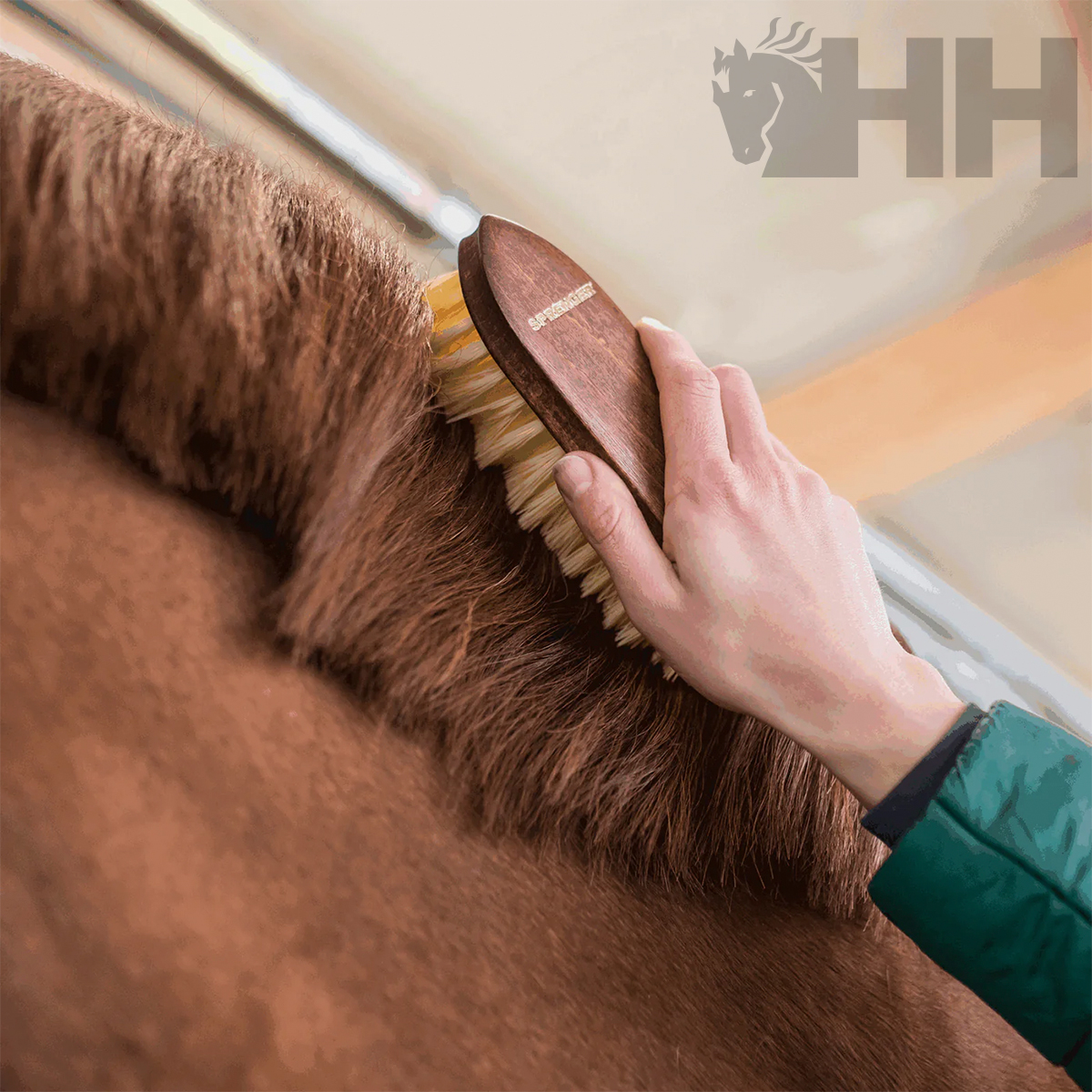 Escova de madeira a escovar pelo de cavalo castanho