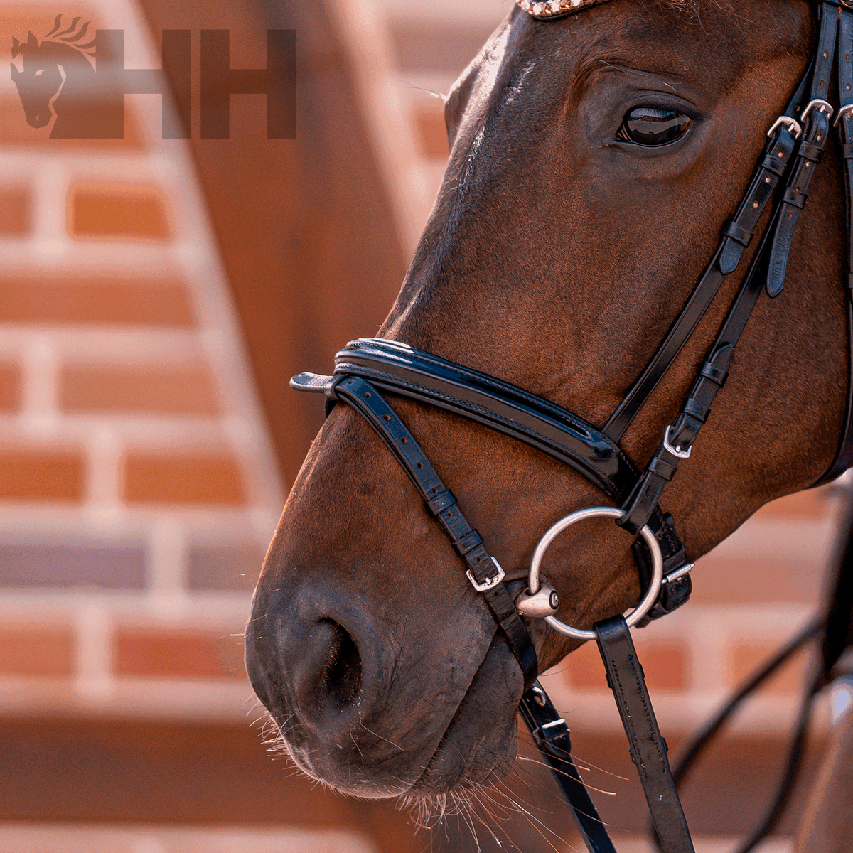 BRIDÃO SPRENGER KK ULTRA ARGOLA 70mm