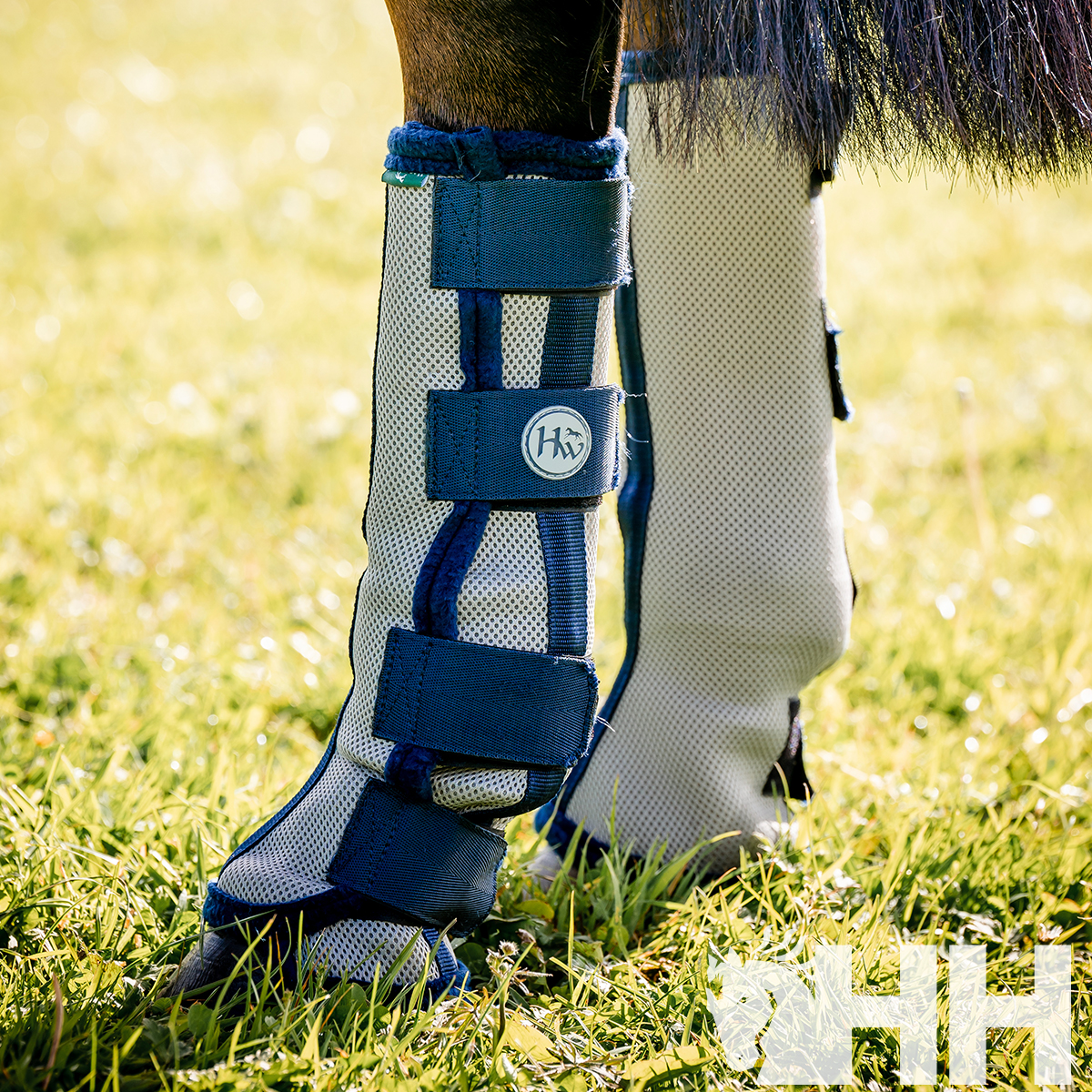 Proteções têxteis cinza com tiras azuis em pernas de cavalo em relva