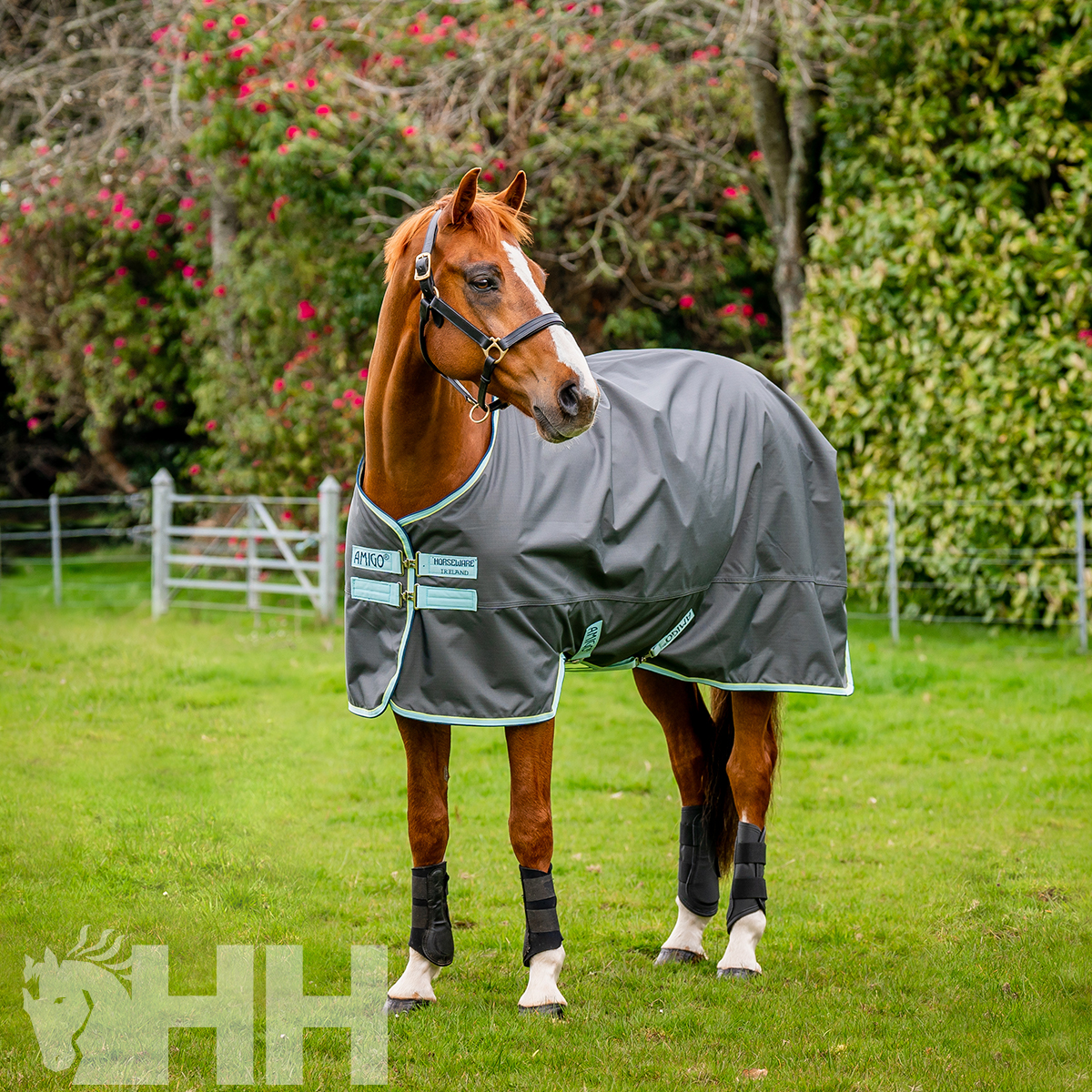 COBREJÃO AMIGO HERO 600 EXTERIOR EXTRA LIGHT (50g)