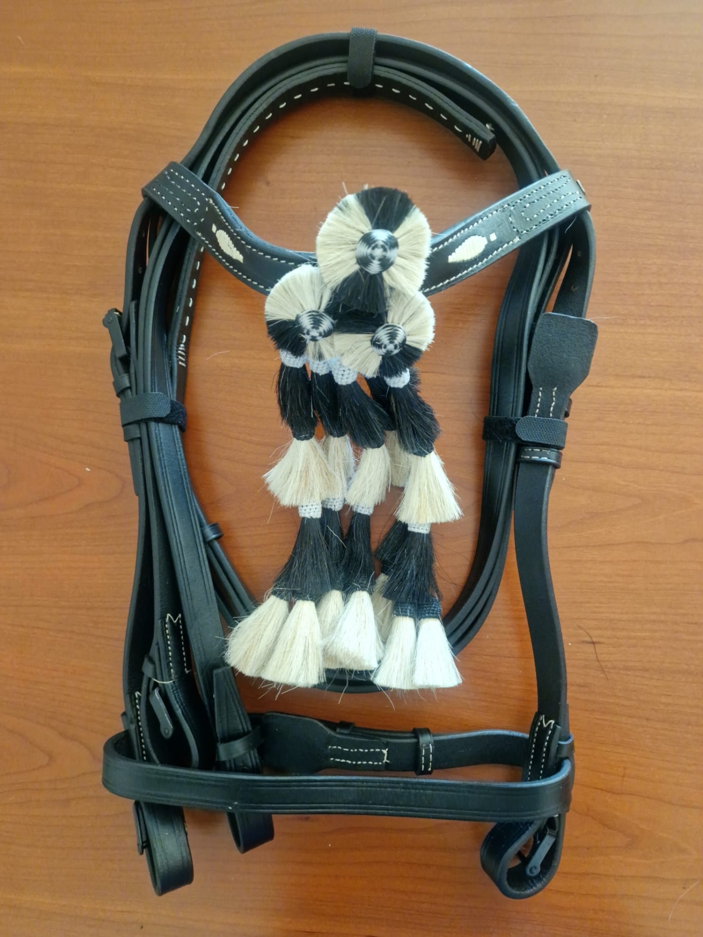 Cabeçada Espanhola com cisgola