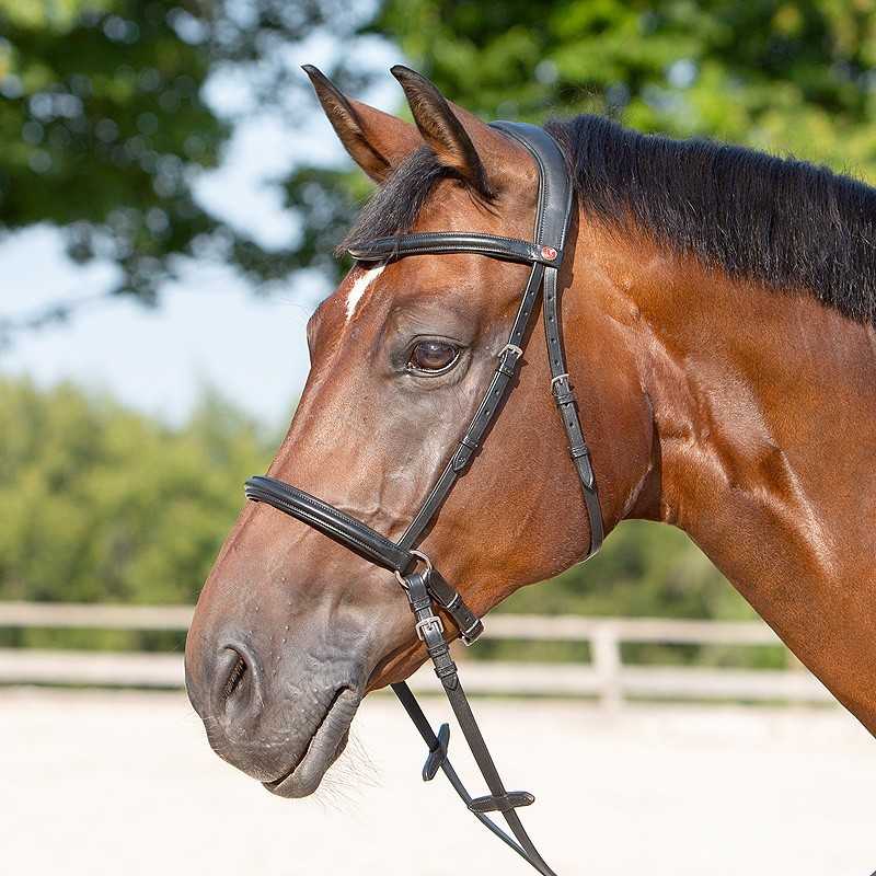 Cabeçada Kieffer bitless bridle Ultrasoft Kendra