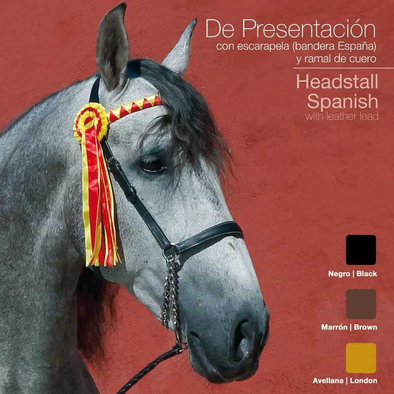 Cavalo cinzento com cabresto preto e escarapela vermelha e amarela com fundo vermelho e texto em espanhol e inglês.