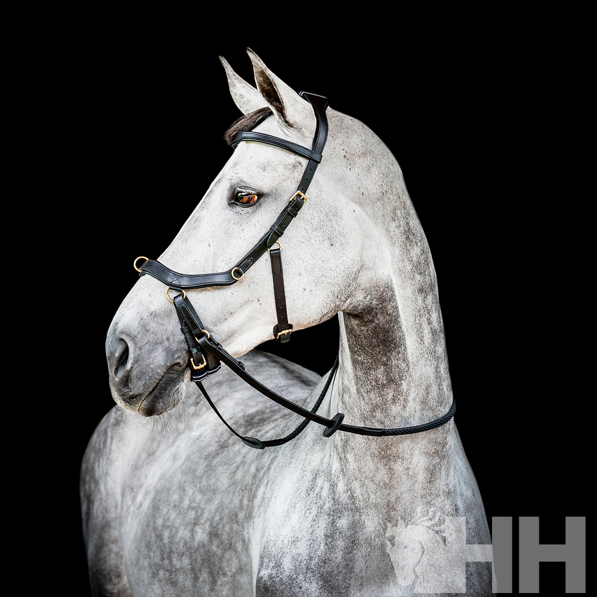 CABEÇADA INGLESA HORSEWARE MICKLEM 2 MULTIBRIDLE (SEM RÉDEAS)