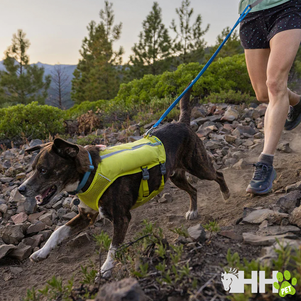 TRELA RUFFWEAR PARA CÃES TRAIL RUNNER