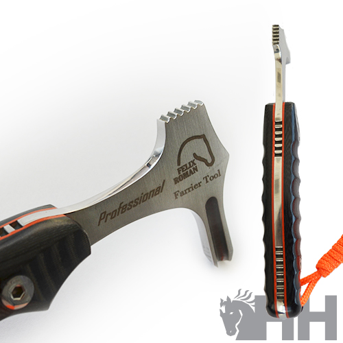 GOIVA FELIX ROMAN SIMPLES CABO MICARTA