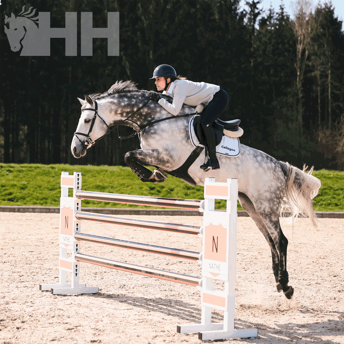 BRIDÃO SPRENGER NATHE ELEVADOR ARGOLA 70mm