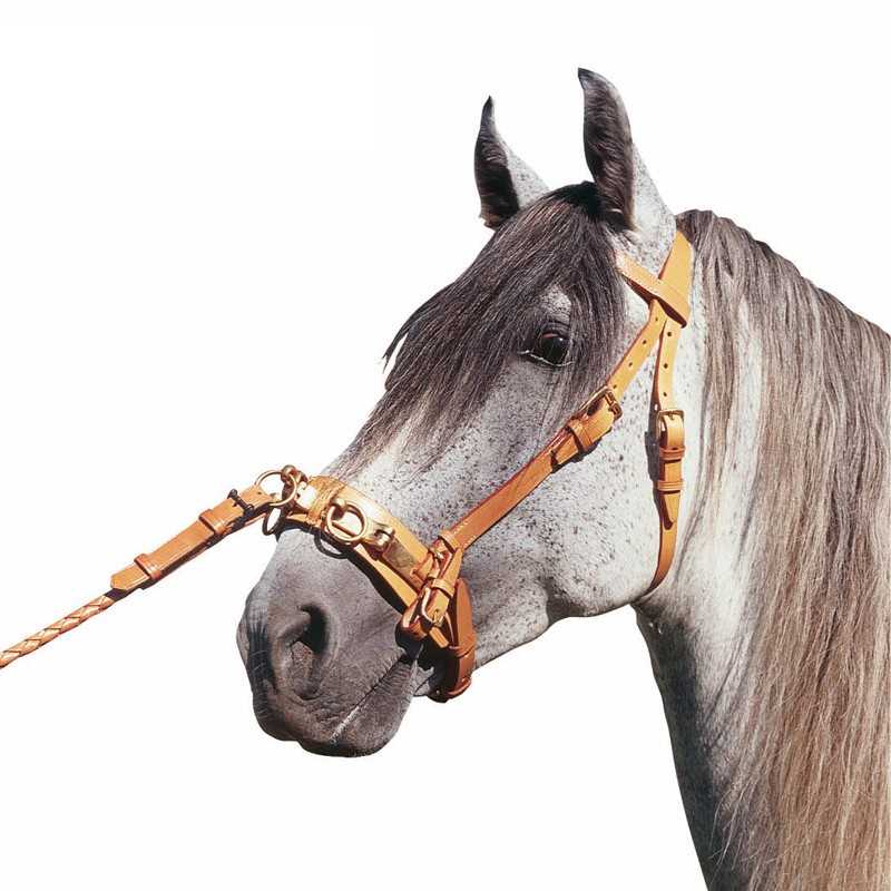 Serrilhão articulada Marjoman