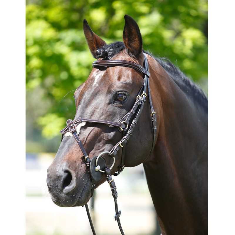 Cabeça de cavalo castanho com cabeçada preta em ambiente exterior