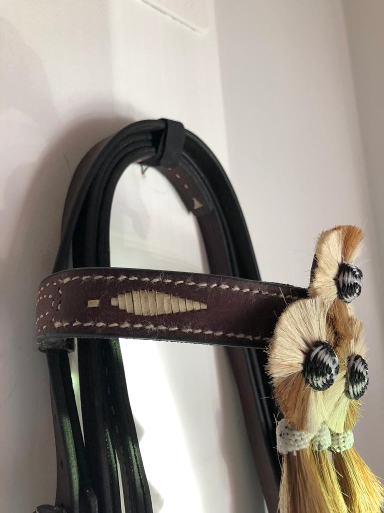 Cabeçada Espanhola com cisgola