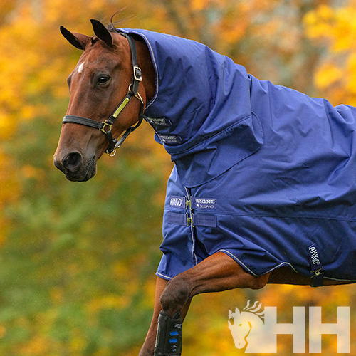 COBREJÃO AMIGO HERO 900 ALL-IN-ON EXTERIOR COM PESCOÇO MEDIUM (200g)