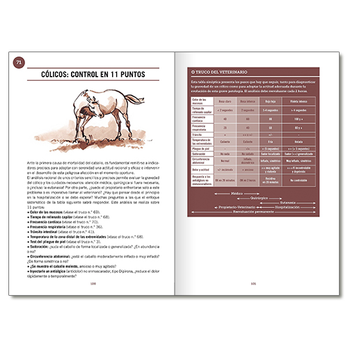 Página de livro com ilustração de cavalo e texto sobre cólicos em cavalos