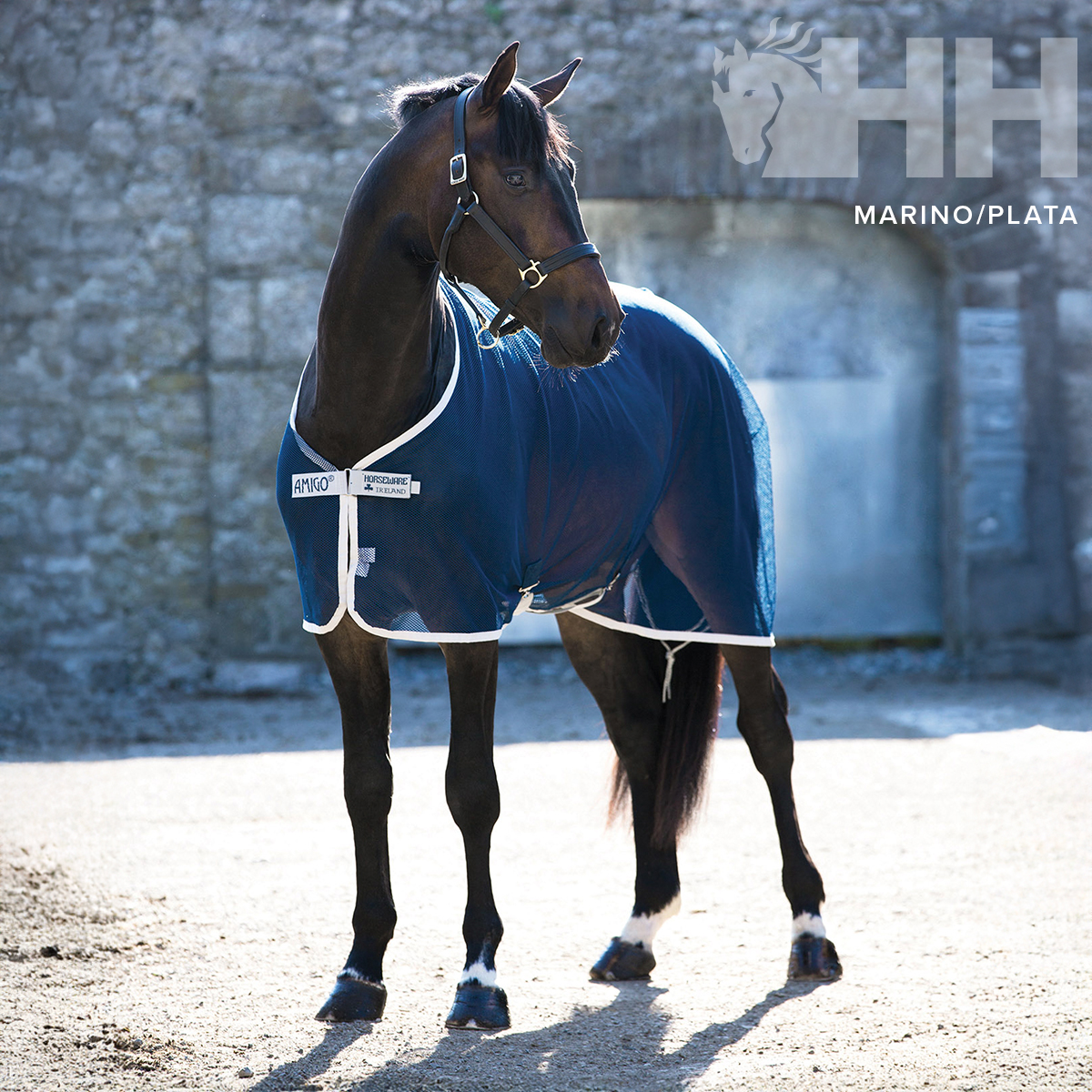 Cavalo com manta azul-marinho com bordas brancas e etiquetas HH PADDOCK e HH