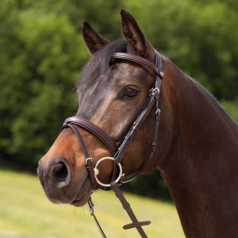 Cabeçada para bridão Kieffer Ergonomic Event