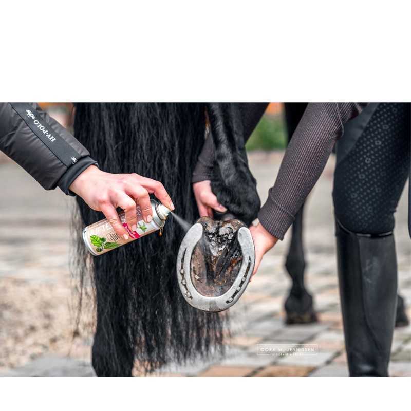 Spray de alcatrão/ madeira de faia para ranilha Bense & Eicke