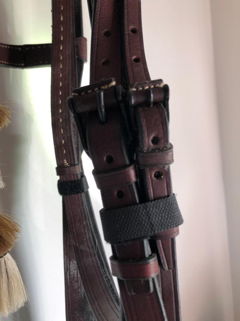 Cabeçada Espanhola com cisgola