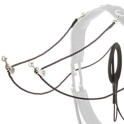 RÉDEAS LEXHIS LONGAS (9 METROS CADA) LONA COM POLIAS