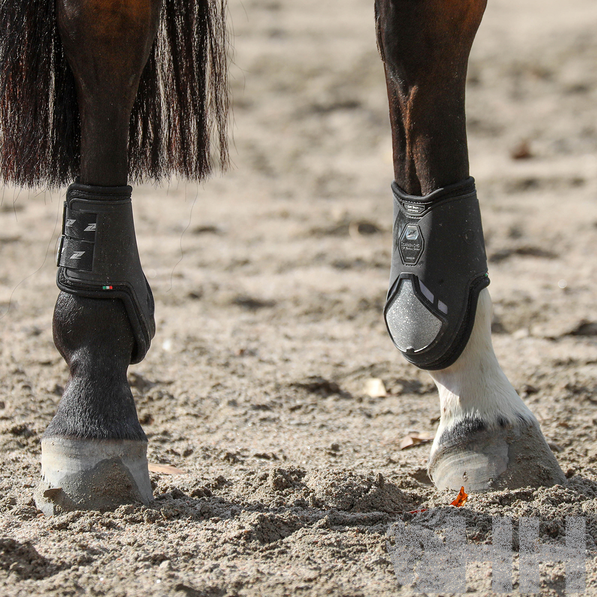 PROTETOR ZANDONÀ CARBON CHIC BOLETO (PAR)