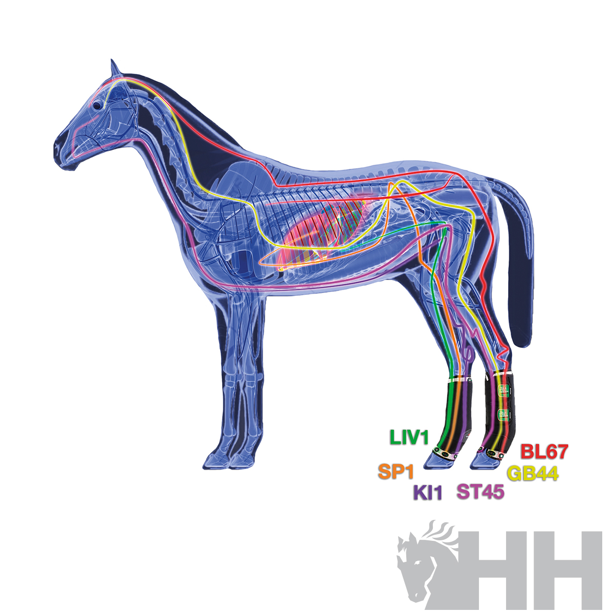 PROTETOR ZANDONÀ THERAPEUTIC SUPPORT BOOT AIR TRASEIRO (PAR)