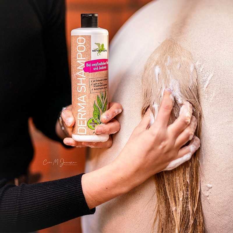 Derma Shampoo/ Shampoo dermatológico Bense & Eicke