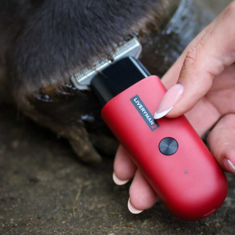 Máquina de Tosquia Aparadora de Retoques LIVERYMAN ROBIN