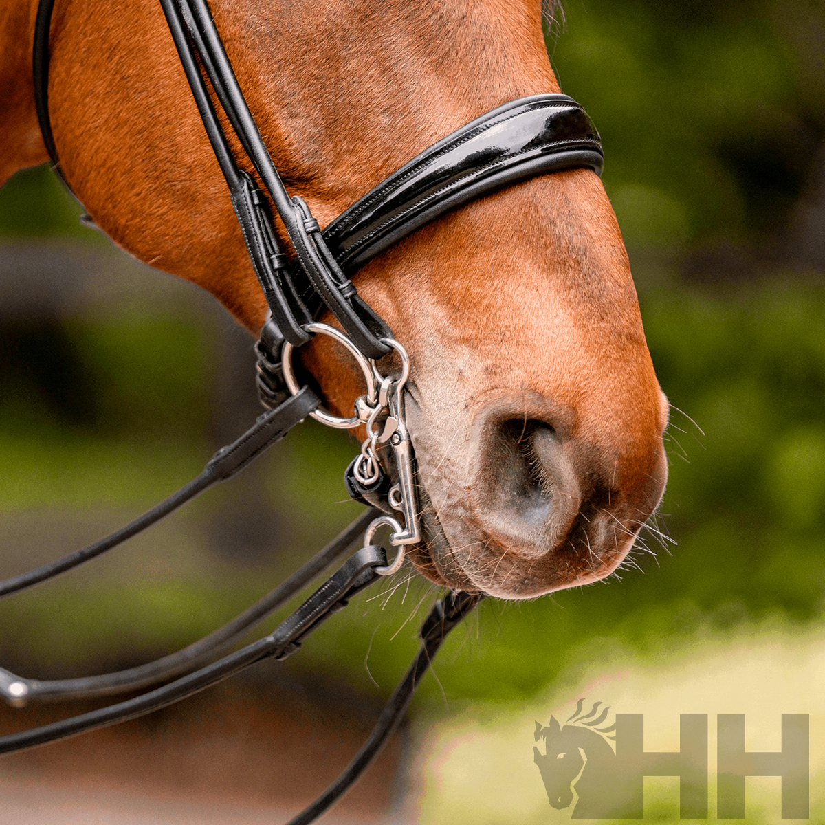 BRIDÃO SPRENGER TURNADO PARA FREIO ARGOLA 55mm