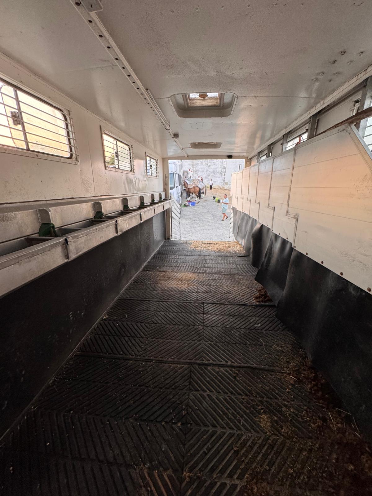 Transporte de Cavalos - Nacional e Internacional