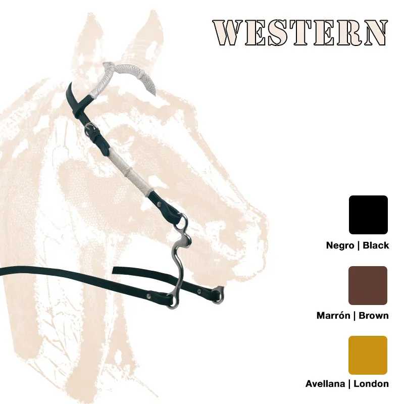 Embocadura western de couro preto com amostras de cores e texto