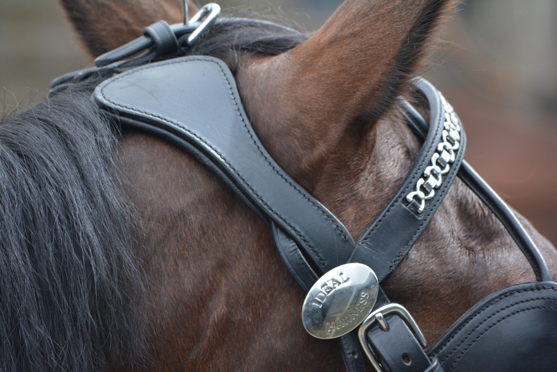 Cabeçada P/Atrelagem Luxe Anatómica Couro