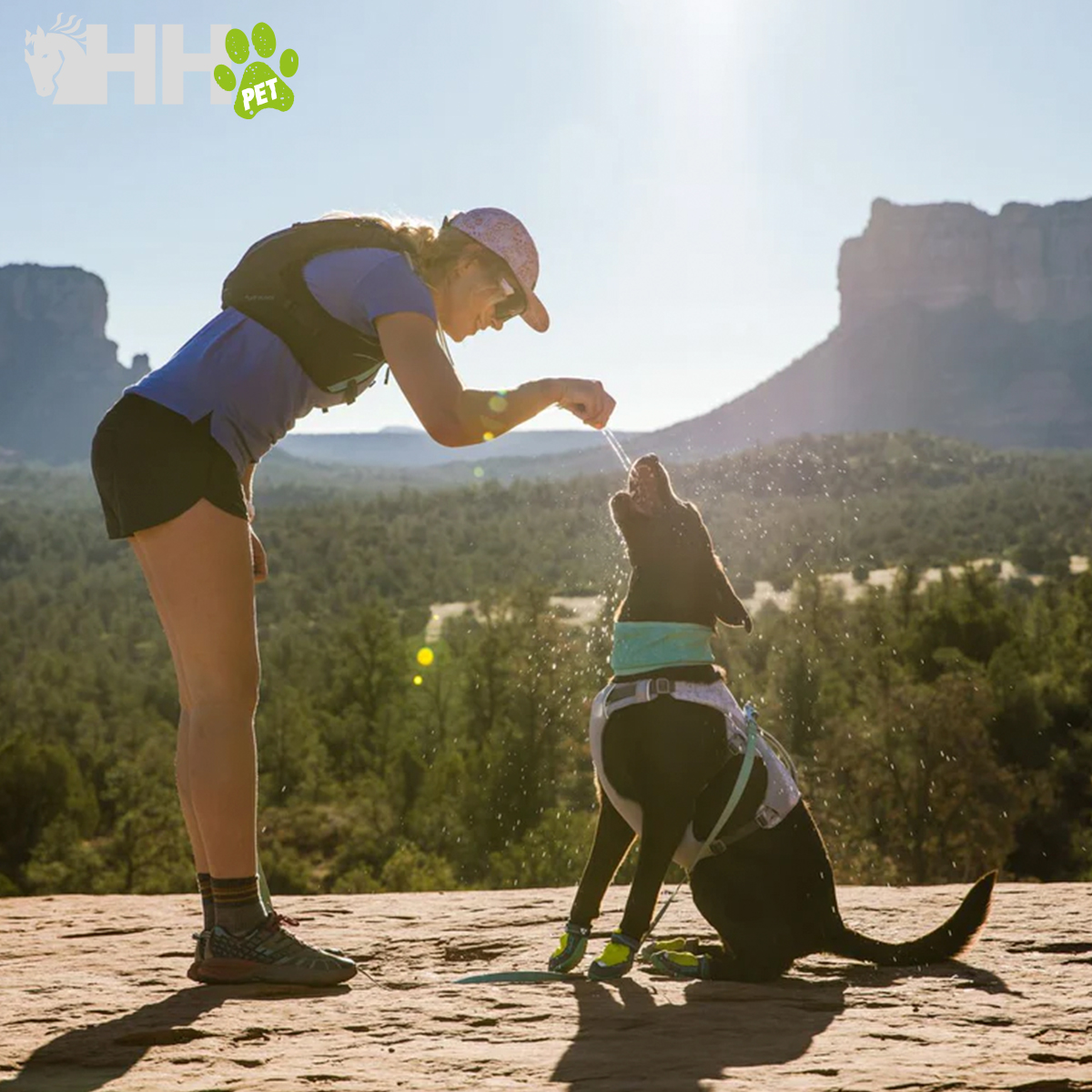 PESCOÇO REFRESCANTE RUFFWEAR PARA CÃES (REVERSÍVEL) SWAMP COOLER NECK GAITER