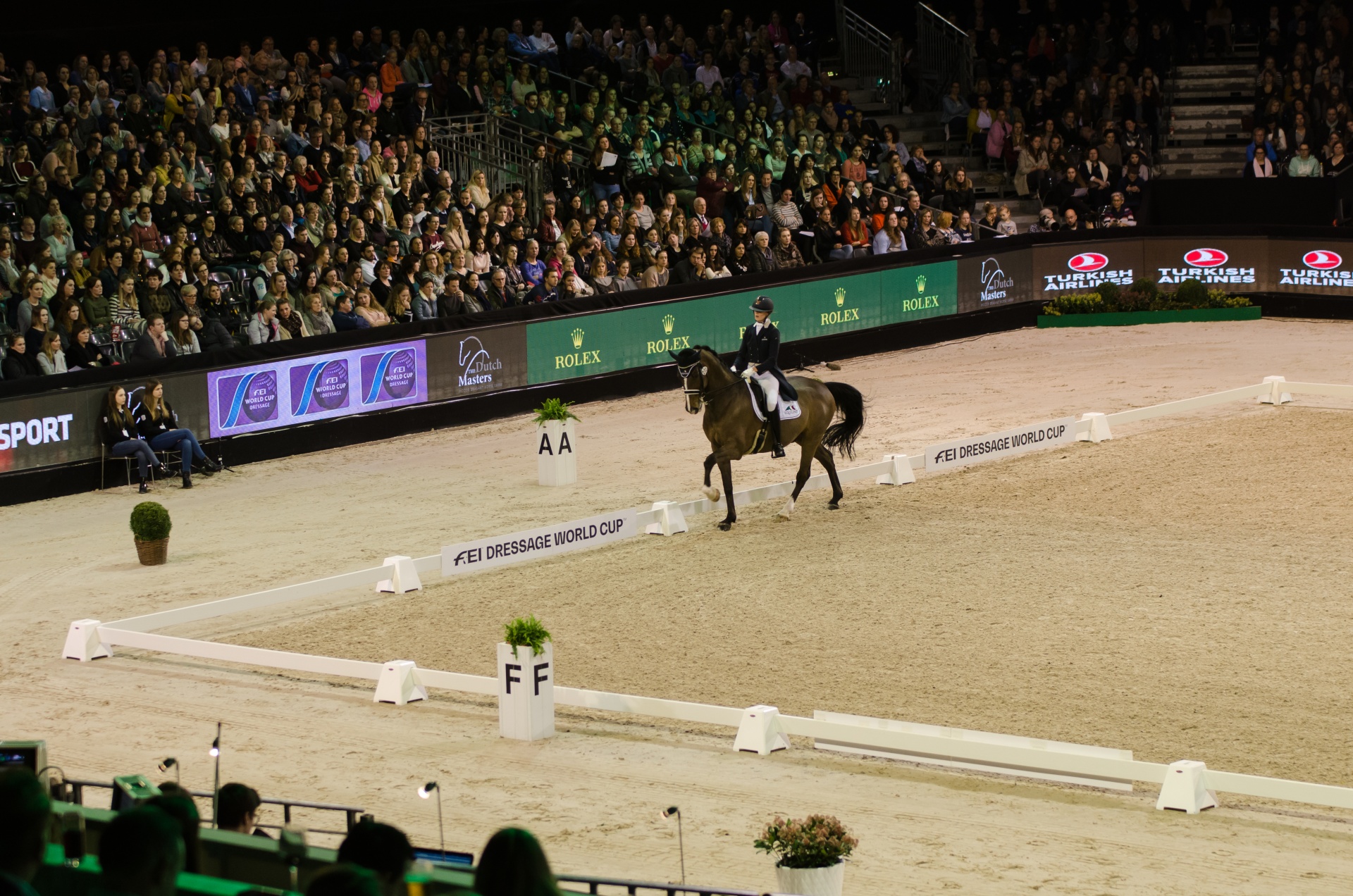 CARRIÈRE PISTA DRESSAGE 20X40M  S/LETRAS