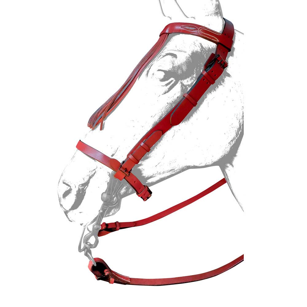 CABEÇADA VAQUEIRA COURO ANCHO