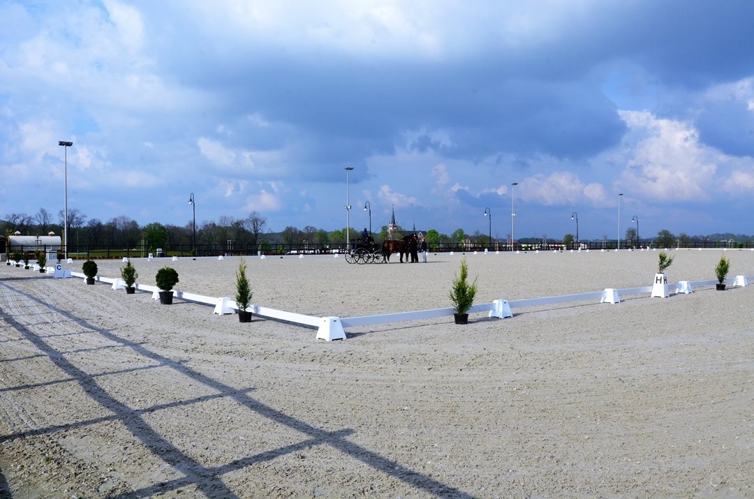 CARRIÈRE PISTA DRESSAGE 20X40M  S/LETRAS