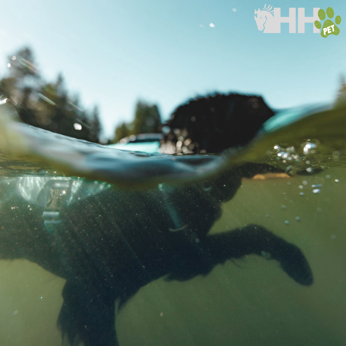 COLETE SALVAVIDAS RUFFWEAR PARA CÃES CONFLUENCE