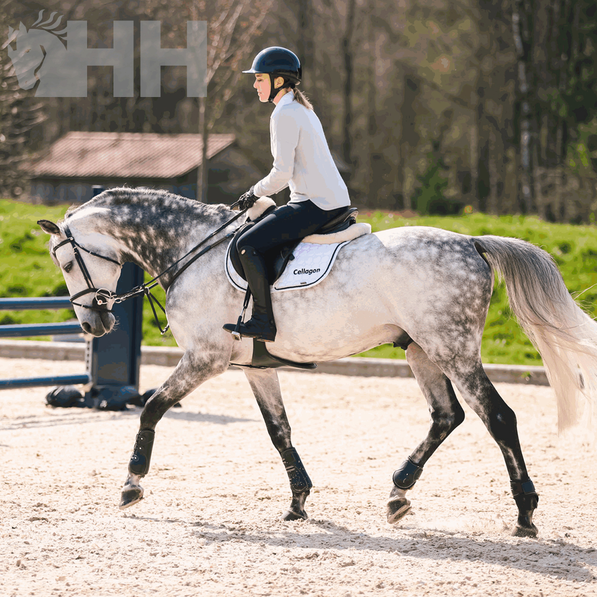 BRIDÃO SPRENGER NATHE ELEVADOR ARGOLA 70mm