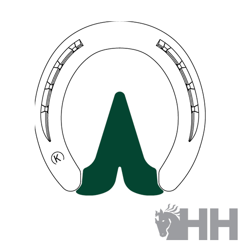 PLACA ORTOPÉDICA DIAMOND BARRA CORAÇÃO (SACO 4 PEÇAS)