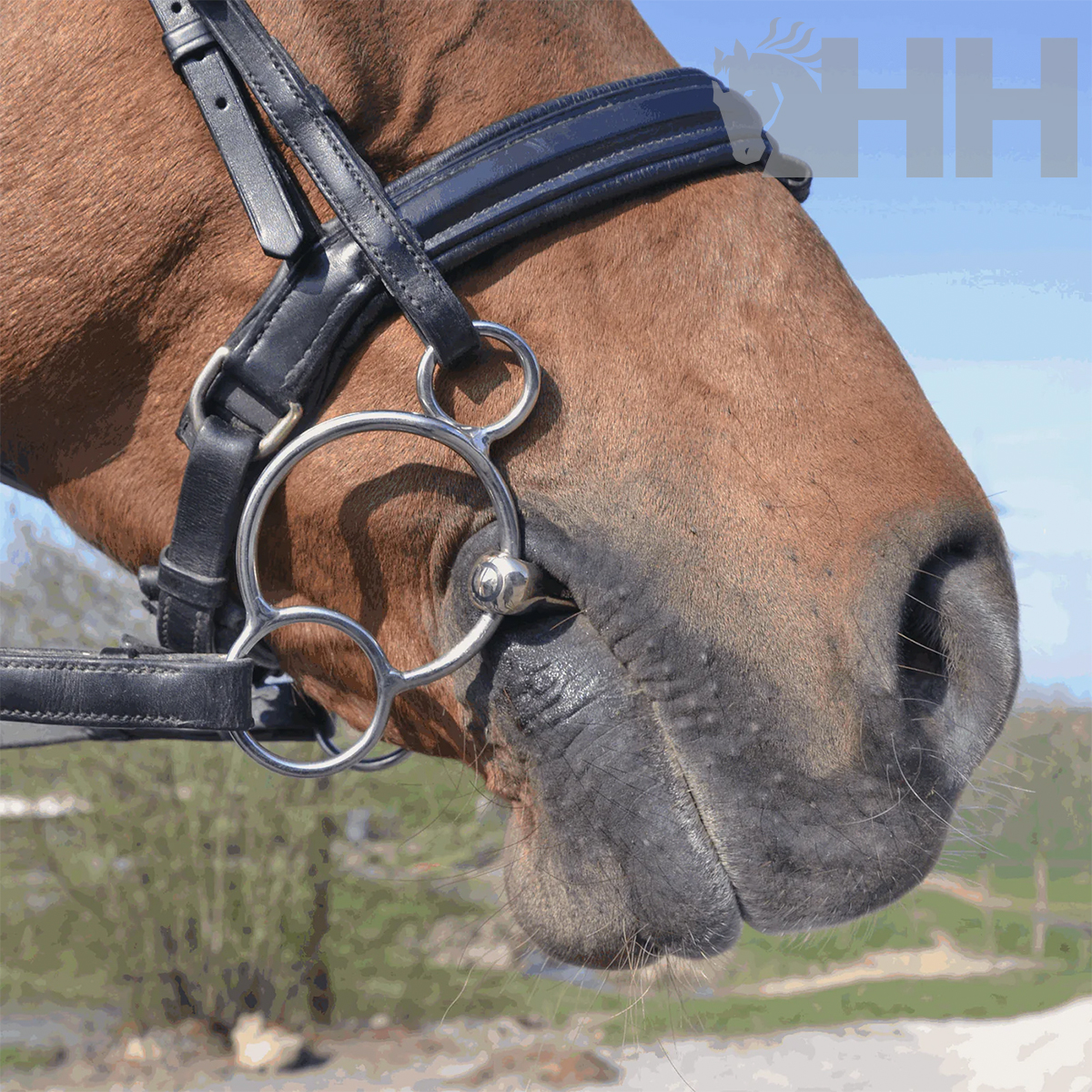 BRIDÃO SPRENGER KK ULTRA UNIVERSAL ARGOLAS 70mm