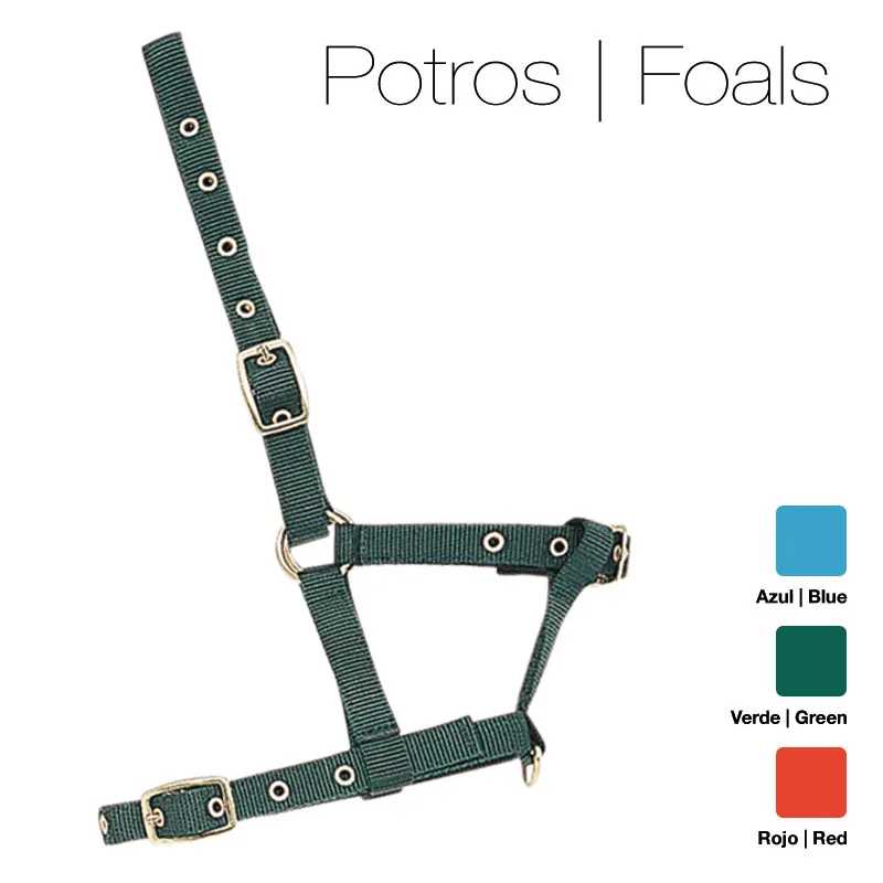 Cabresto para potro verde ajustável com fivelas metálicas, texto Potros | Foals e indicação de cores à direita